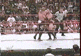 animation1.gif (150625 bytes)